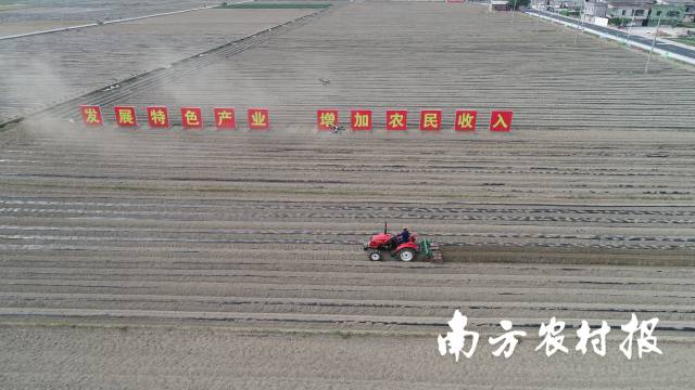 1  通讯员 南方农村报 供图