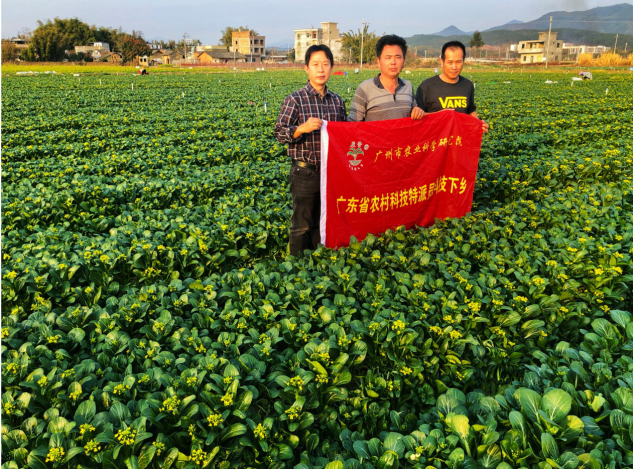 黄绍力团队进行对口帮扶工作 