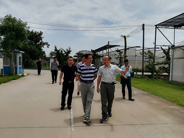 岭背镇人民政府一行来市农科院南沙基地调研 
