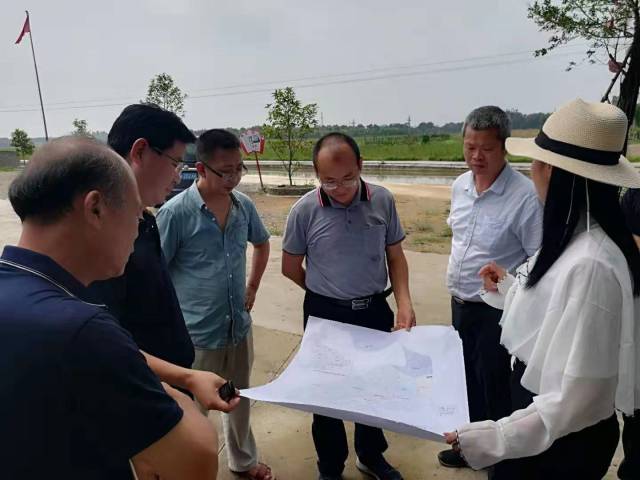 科技特派员田间指导农村农作物种植规划