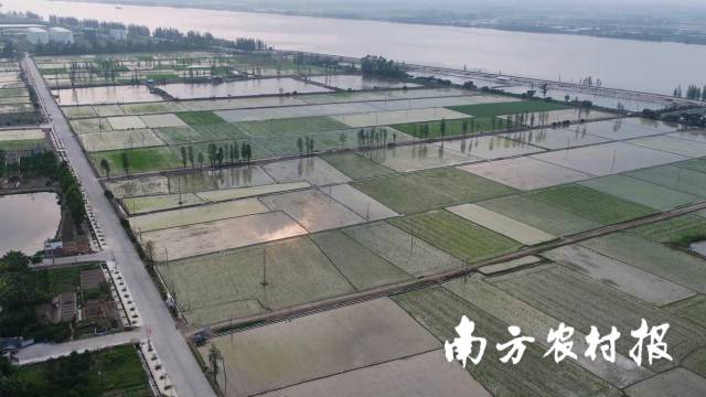 通讯员 南方农村报 供图