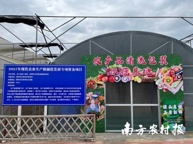 南方农村报 郑建斯 拍摄