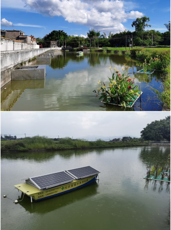 江门台山、恩平等地因地制宜，利用各村的鱼塘打造稳定塘，种上有净化功能的绿植，配置光伏智能水体净化器，既解决了生活污水的处理问题，也美化了村容村貌。
