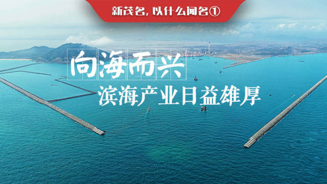 新茂名，以什么闻名①|向海而兴，滨海产业日益雄厚