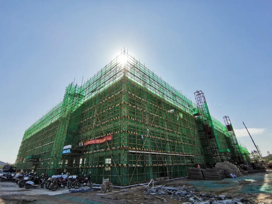 5  南方拍客 高要区融媒体中心 供图