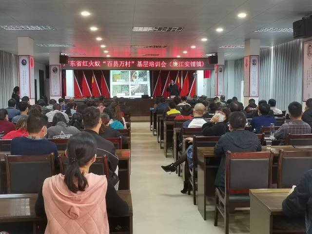 通讯员 杨丽娜 供图