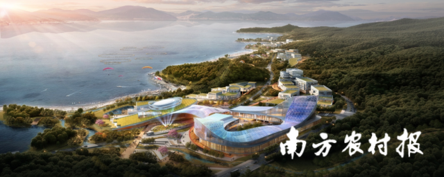 年产值将达600亿元！深圳大举措建设国际食品谷