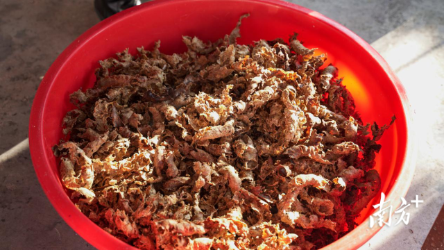  柚子核榨油后的渣可作为肥料还田