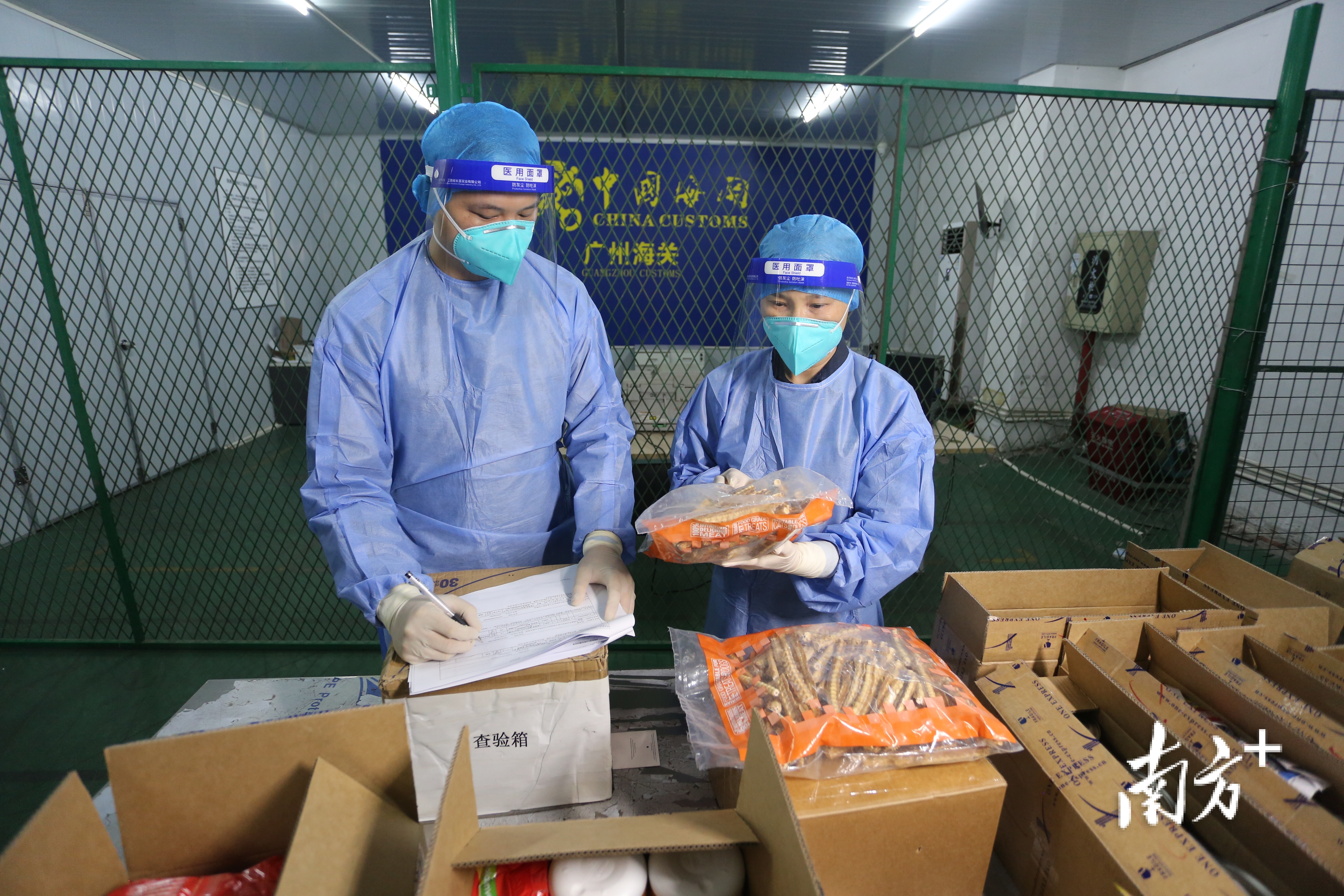 佛山海关驻顺德办事处关员查获一批禁止进口的水产制品。