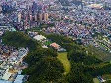 园山这五年｜梧桐山北筑未来③