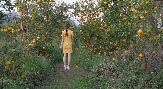 南方农村报 无 拍摄