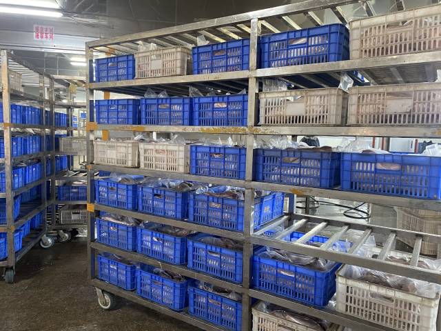 经过屠宰加工及包装后，狮头鹅将被送至各大城市