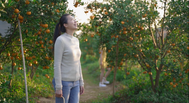 南方农村报 无 拍摄