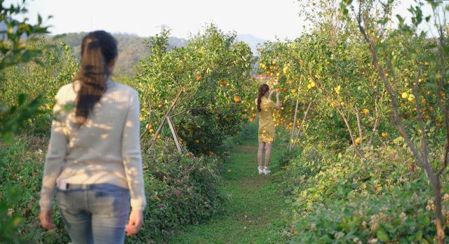 南方农村报 无 拍摄