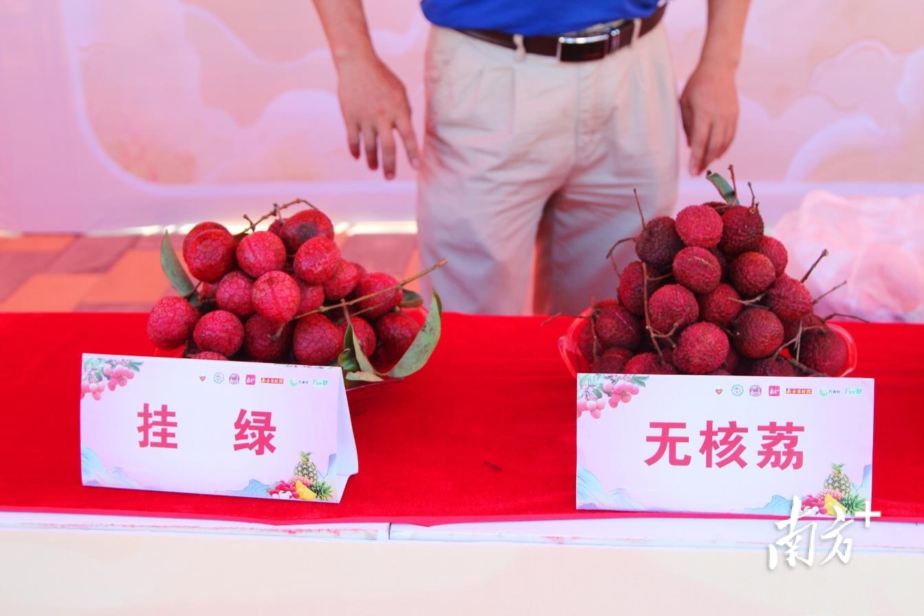 惠来荔枝。 惠来荔枝。