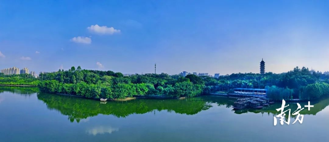 今年以来，三水区紧紧围绕“保好水、治差水、三水水更美”的目标主线，深入推进河长制湖长制各项工作，全区水环境质量持续改善。 部门供图