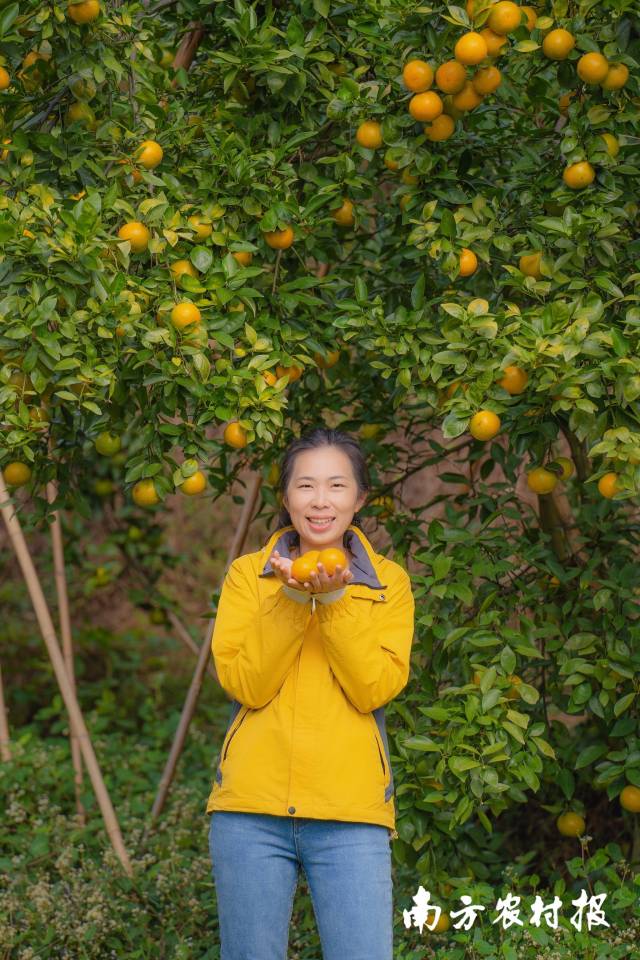 陈慧的笑容如贡柑一般灿烂