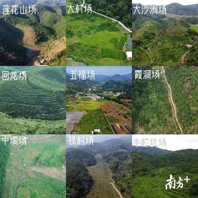东璞农业种植基地