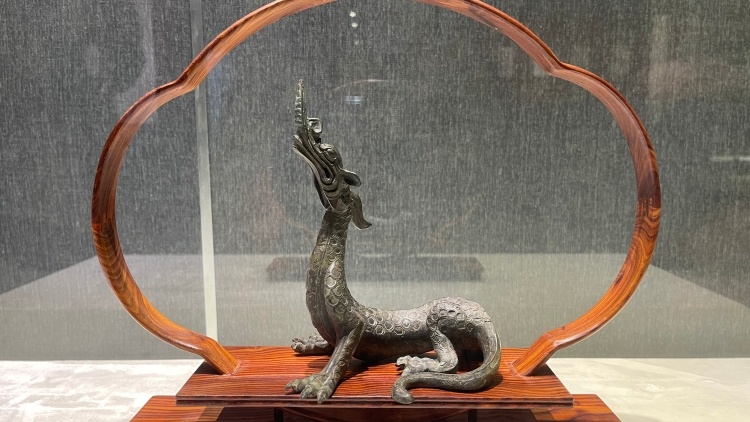 穿越千年看唐代珍宝，来阳江市博物馆感受文物之美