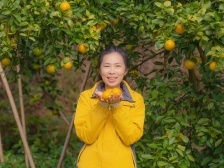 德庆贡柑新农人陈慧：网红不能解释我