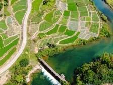 漫山美景入画来，广东十大美丽乡村考察组走进云浮