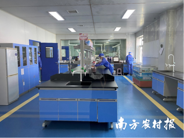 △青海雪峰牦牛乳业的生产线内部化验室。资料图