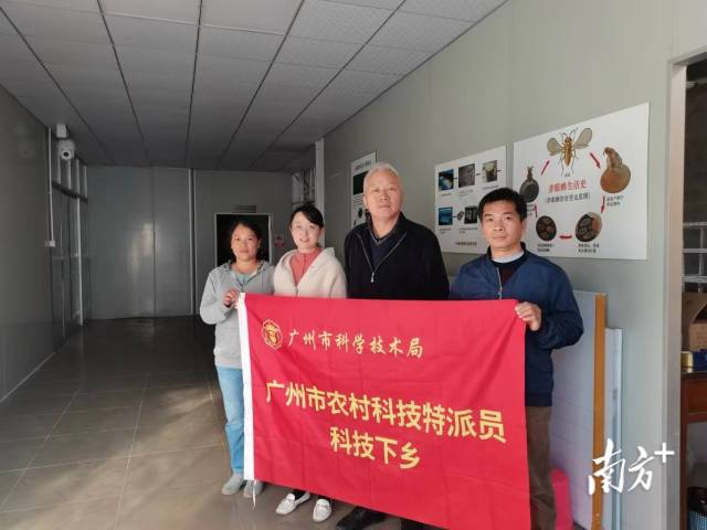 省农科院专家指导平腹小蜂规模化繁殖，促进天敌昆虫产业发展