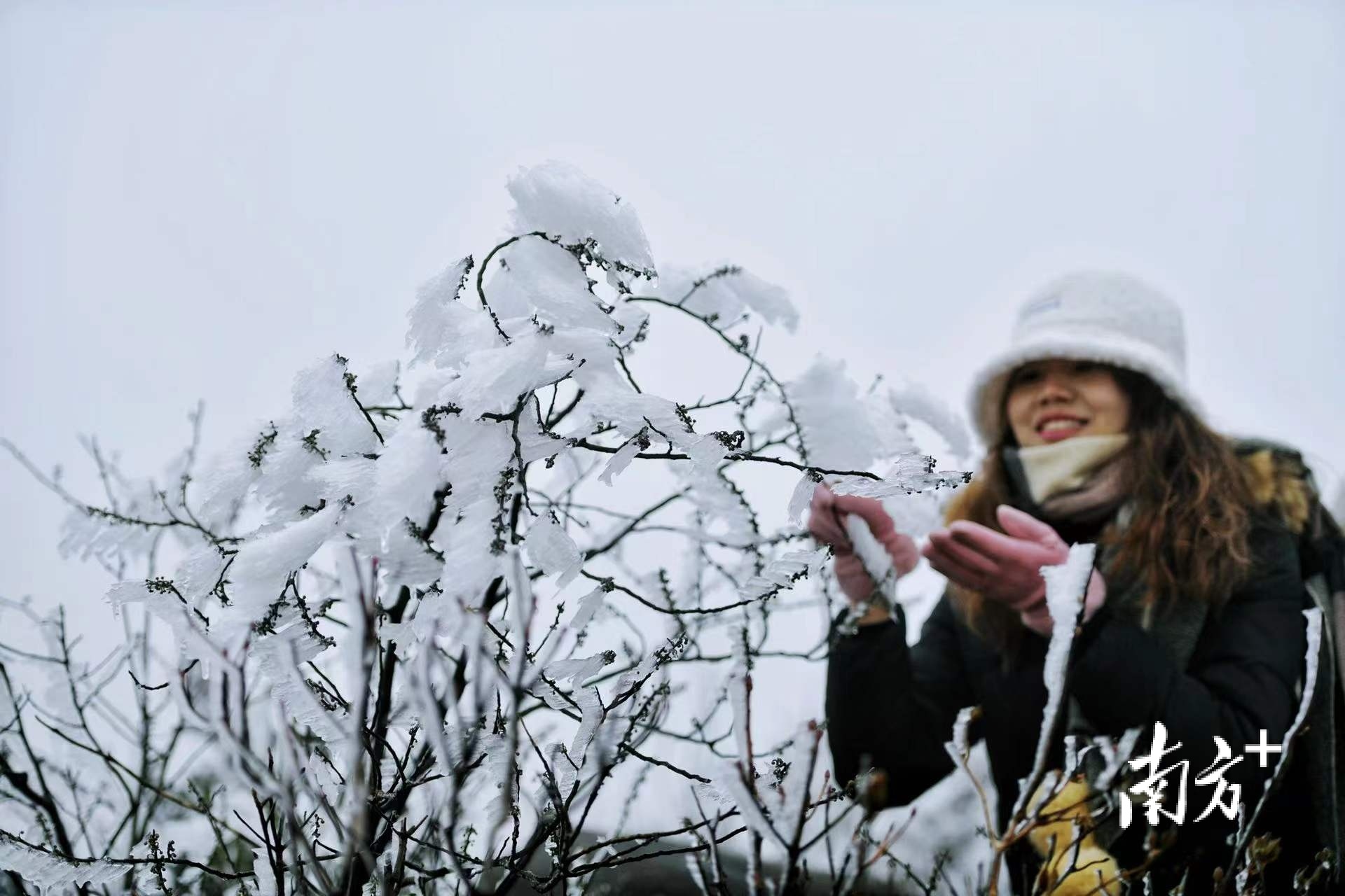 一层层洁白的雾凇让游客们爱不释手。曾亮超 摄