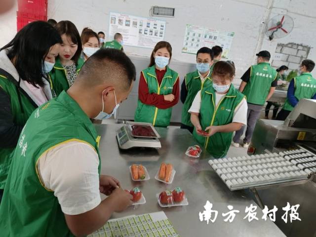 广州市供销社选定公司内5家经营门店做试点，在销售食用农产品时做到销售示证，增进社区群众对食用农产品合格证追溯的了解。