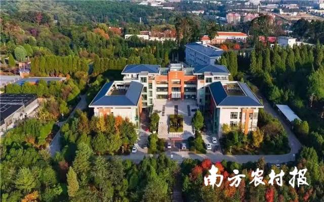 今年8～9月，中国科学家在珠穆朗玛峰6200米地带采集到一批须弥扇叶芥、鼠麴雪兔子种子，刷新我国采集植物种子的最高海拔纪录。图为保存这批种子的中国西南野生生物种质资源库