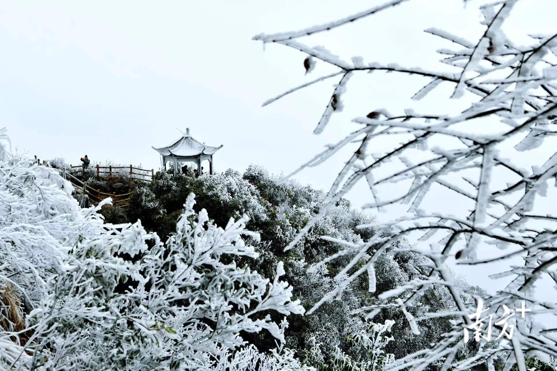 半山凉亭披上了银装。曾亮超 摄