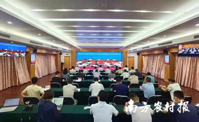 7月6日，农业农村部召开保护种业知识产权专项整治行动视频会议，宣布开展全链条的保护种业知识产权专项整治行动，标本兼治打击侵权违法行为。