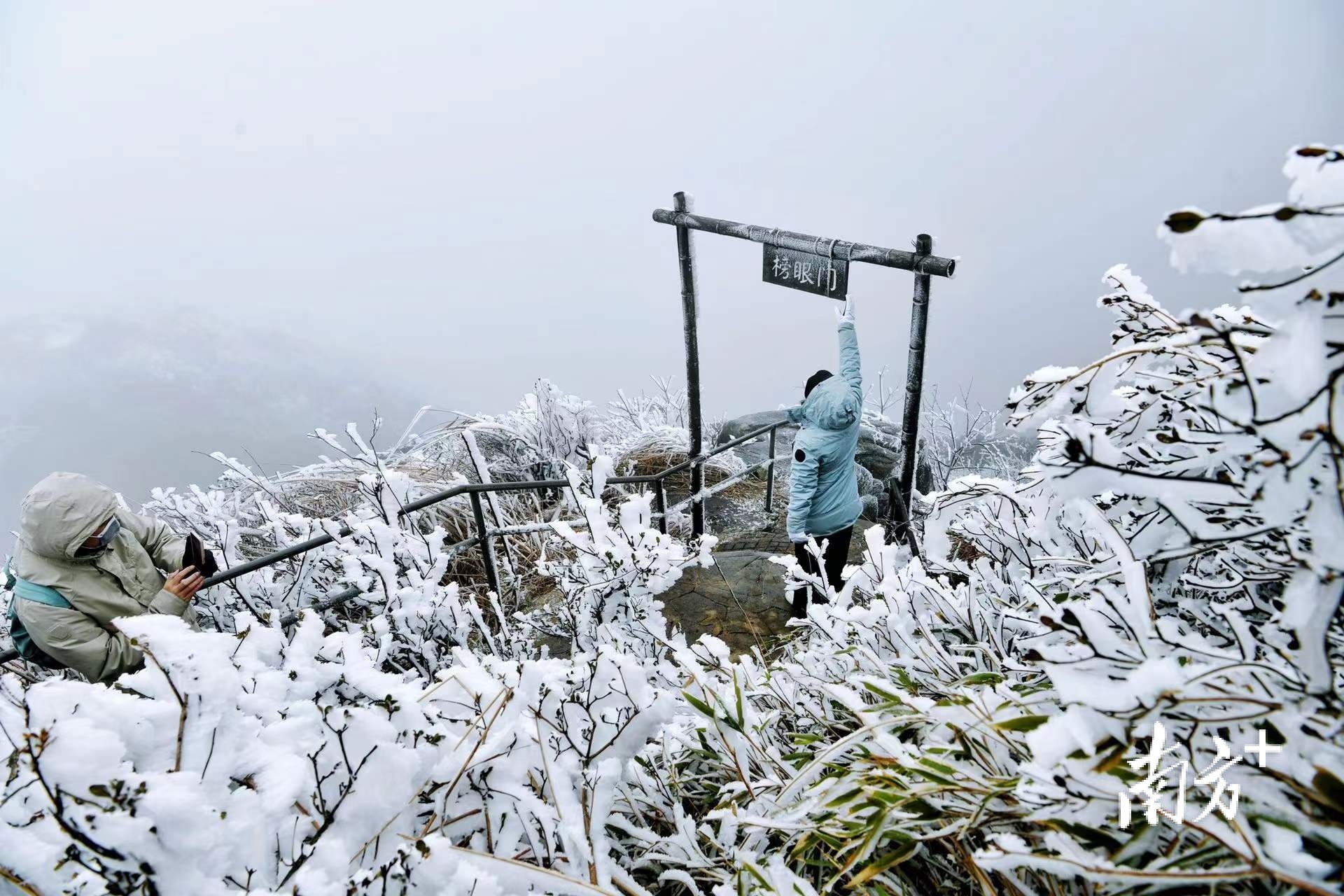 走进山林里，白茫茫的冰雪世界吸引游客各种拍照打卡。曾亮超 摄