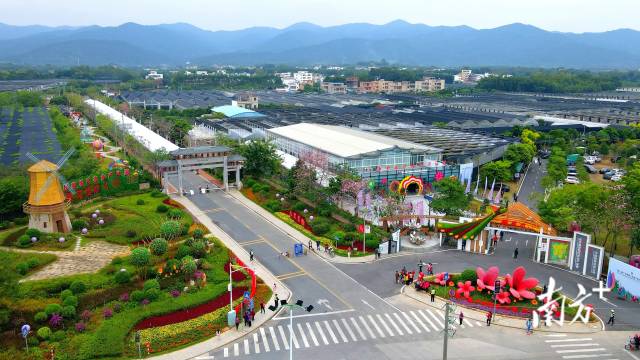 从化花卉国家现代农业产业园。