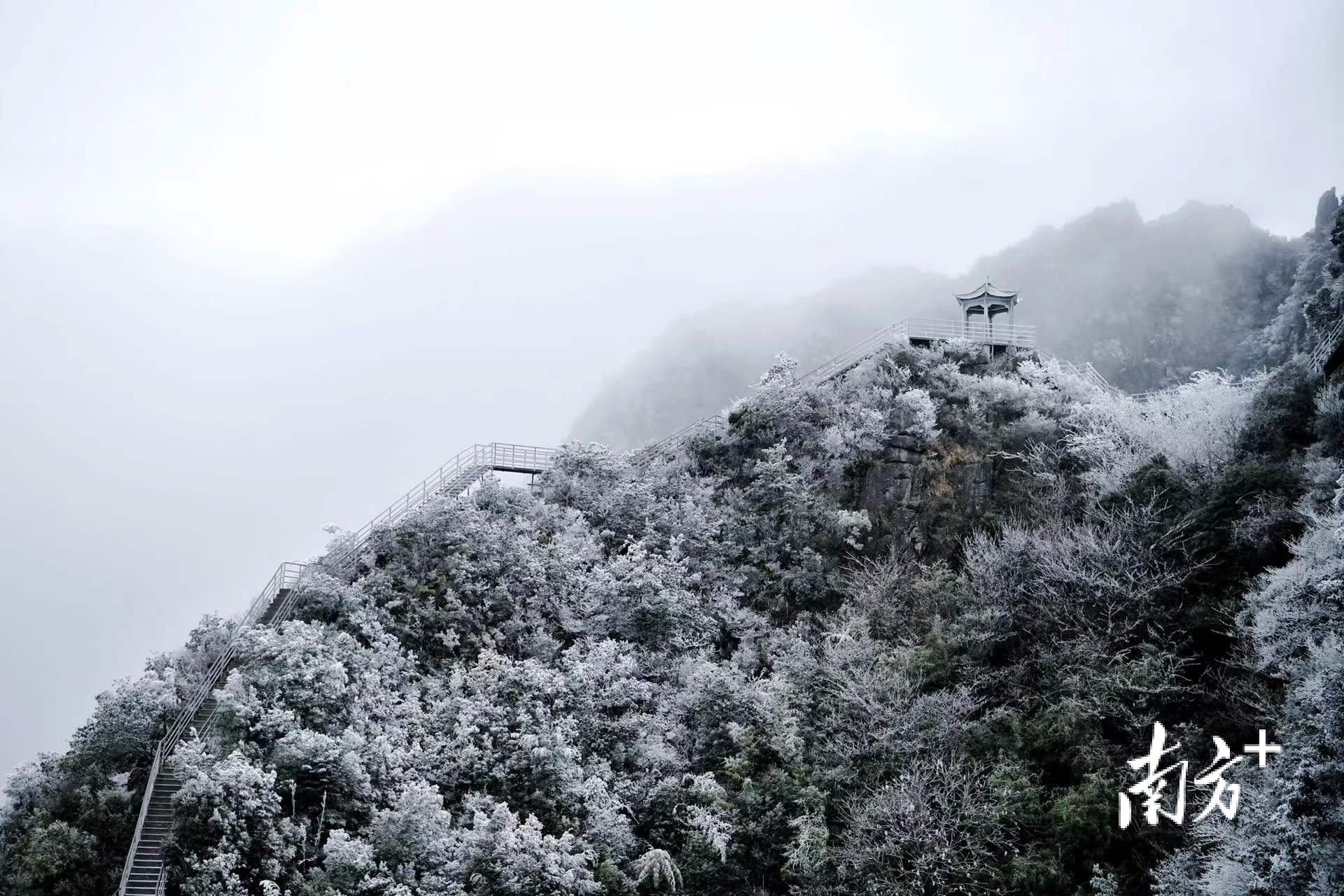 27日清晨，金子山气温一度低至-4℃，低温高湿为游客带来了别致的观雪体验。曾亮超 摄