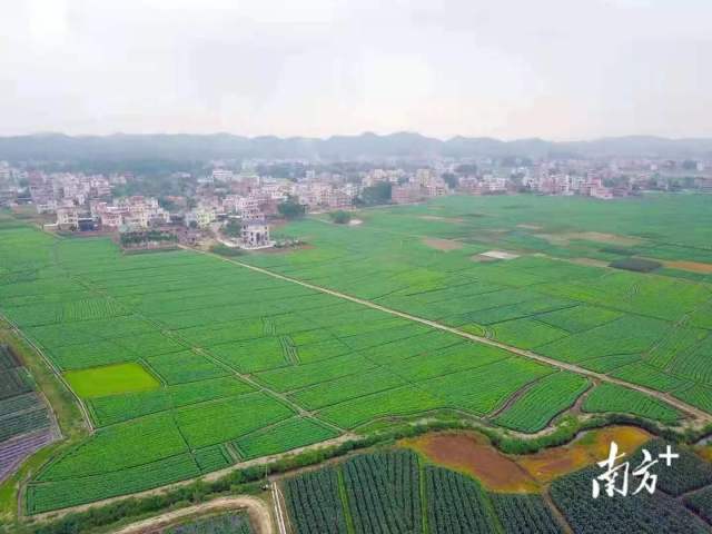 又一中药材产业园纳入建设！南雄南药入选2021省级产业园建设名单