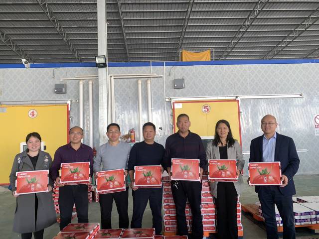 遂溪圣女果品牌新包装亮相。