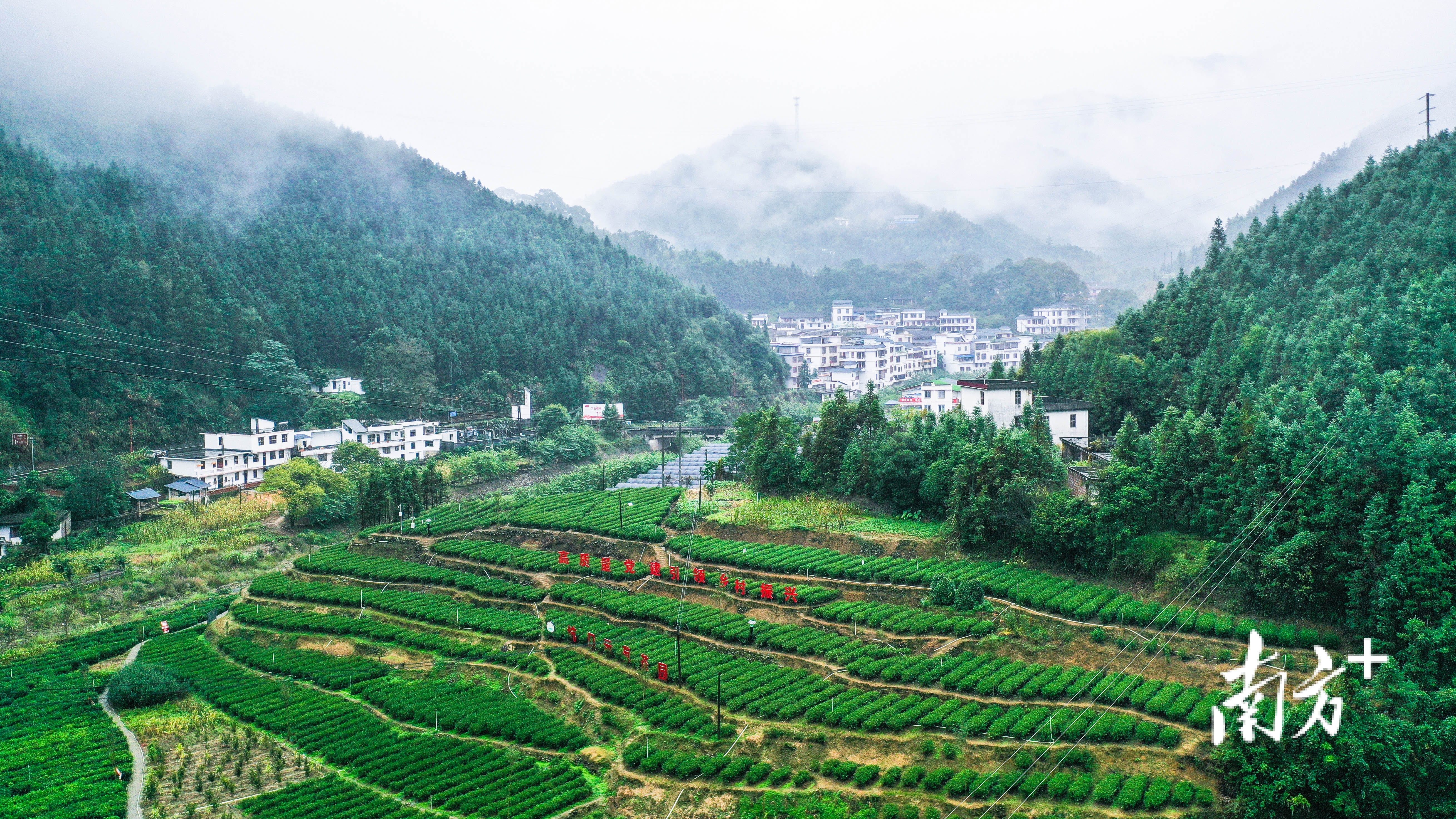 环绕在群山中的连南三江镇金坑村。南方日报记者 曾亮超 摄 环绕在群山中的连南三江镇金坑村。南方日报记者 曾亮超 摄