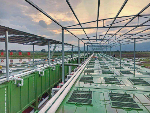肇庆市鼎湖区水产产业园数字化渔业养殖基地