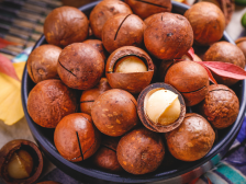 喜讯！阳春市夏威夷果产业园入选2021年省级现代农业产业园建设名单| 阳春市夏威夷果产业园系列报道①