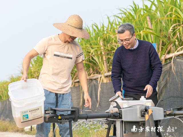 黎锡强与飞手在调配营养液。  南方农村报 蓝东旭 拍摄