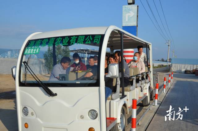 张常喜带领广东现代农业产业园代表参观