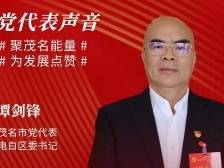谭剑锋：攻坚农村人居环境整治，加快美丽圩镇建设|茂名党代会新观察