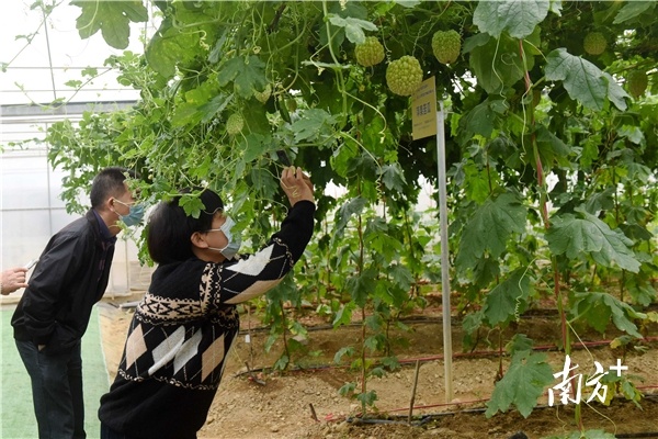 南方+ 梁维春 拍摄