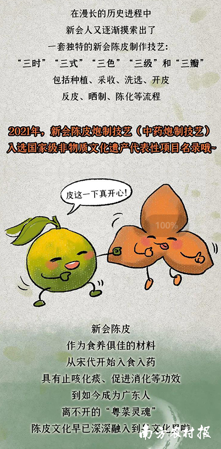 新会陈皮条漫推介。