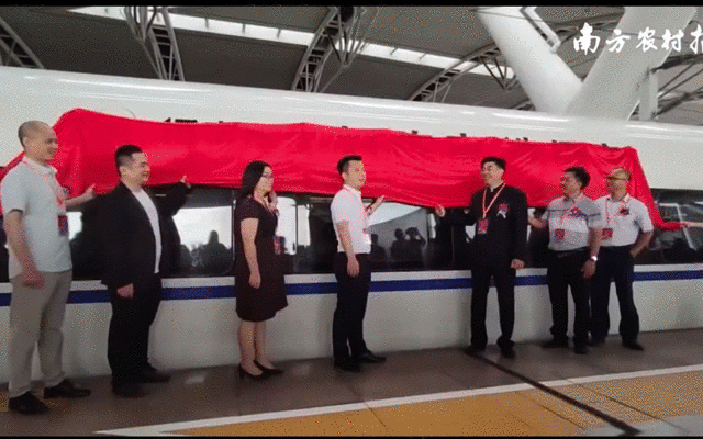 新会陈皮上高铁。