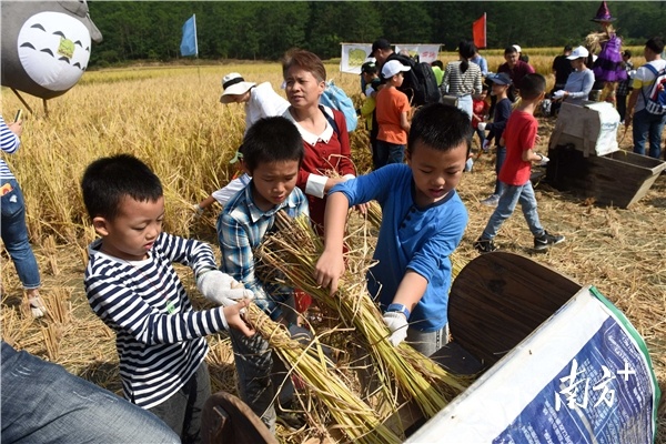 南方+ 梁维春 拍摄