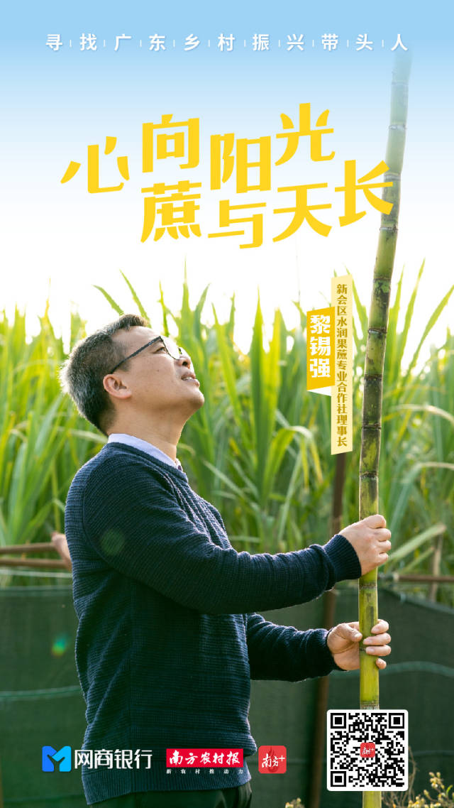 新会“蔗医”黎锡强，15年专注种好、卖好、医好一条蔗