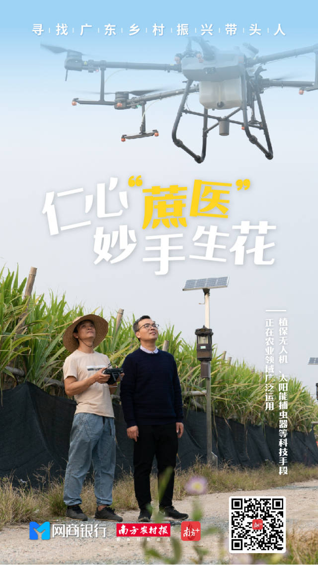 新会“蔗医”黎锡强，15年专注种好、卖好、医好一条蔗