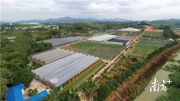 南方+ 梁维春 拍摄